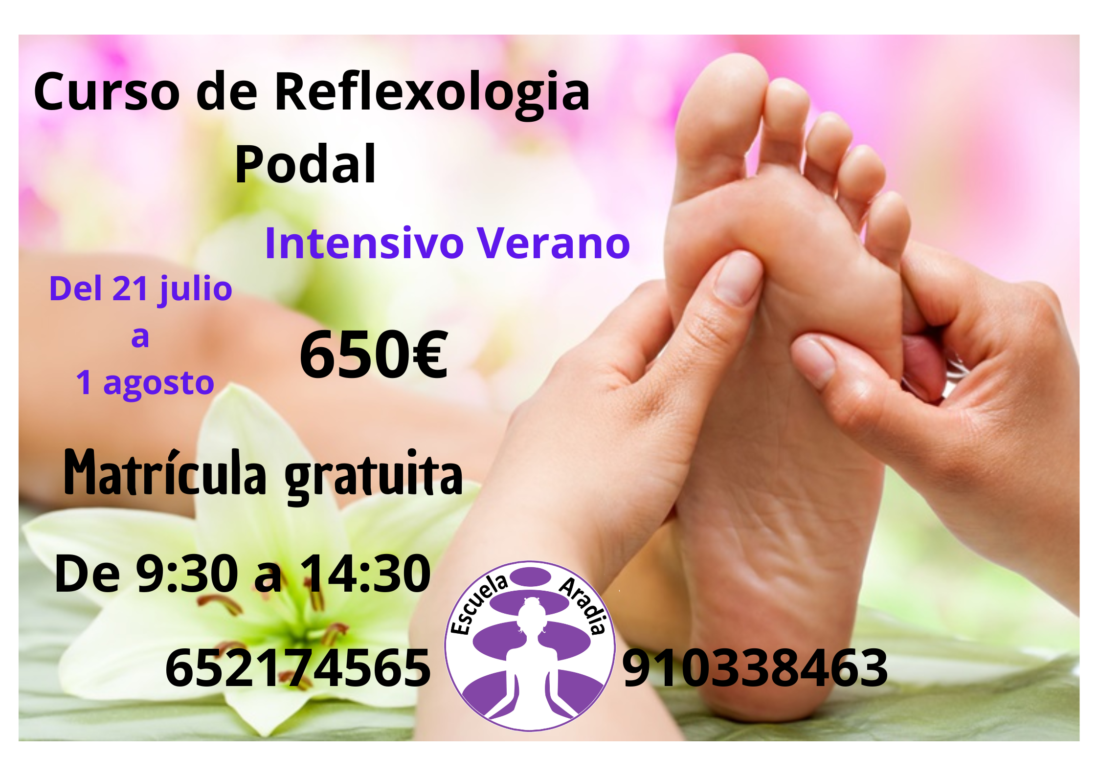 Verano Refle 2025