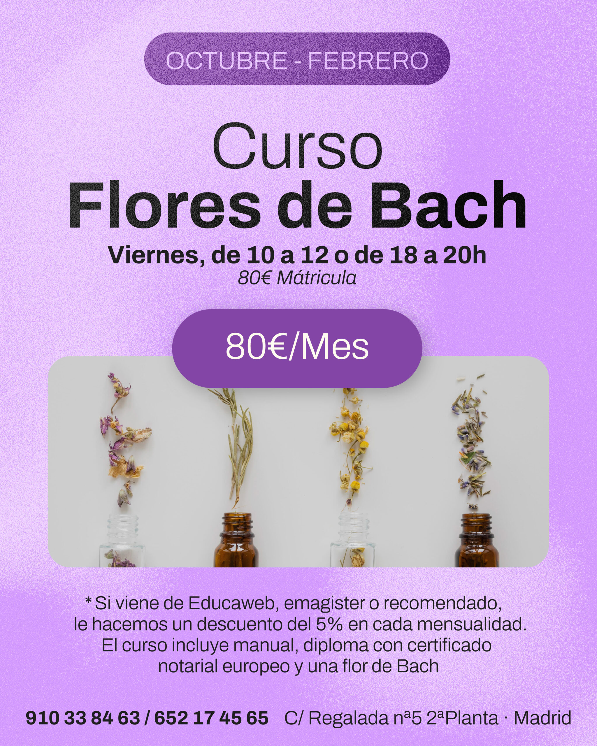 Flores octubre- febrero